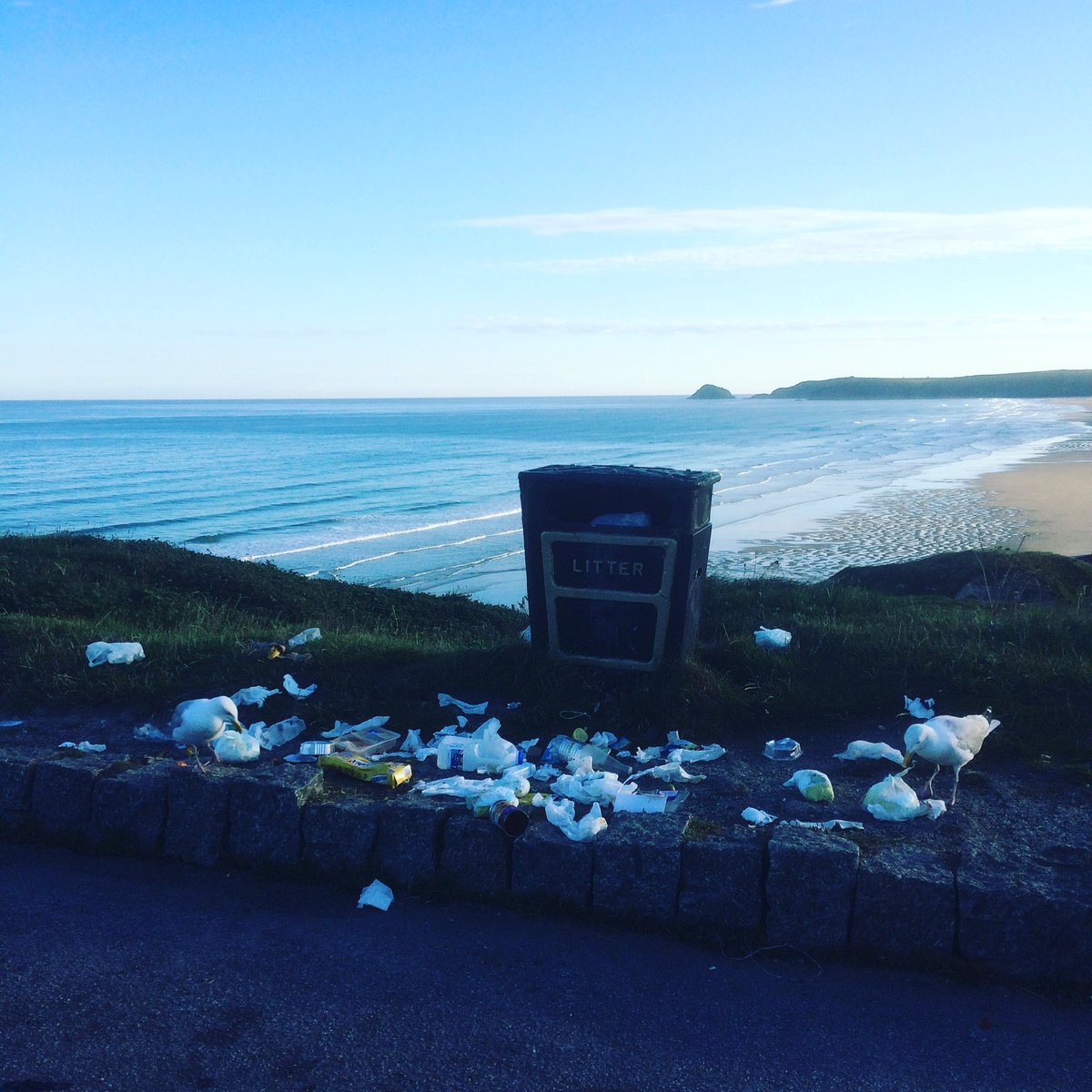 sascampaigns tweet picture