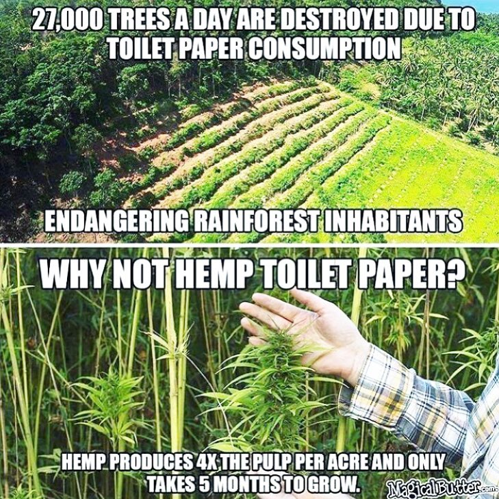 votehemp's tweet photo. Why not #hemp toilet paper?

#HempWeek https://t.co/gAeXo24o3k