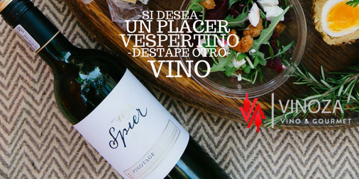 vinozamx's tweet photo. Descubre Vinoza
#SpierMx #Vinoza #winelovers #wineo'clock #winepleasure #winery #timeforSpier #redwine #rest #Enjoy #winelife #VinosMx https://t.co/uwmXpkaSgV
