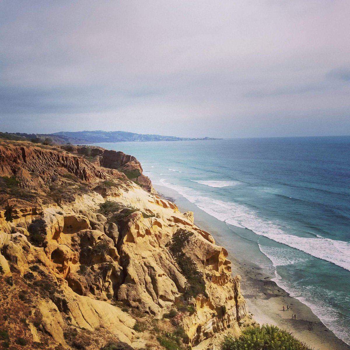 johnnyshiit's tweet photo. Torrey Pines. Where Im at https://t.co/bjnQ49hr4u