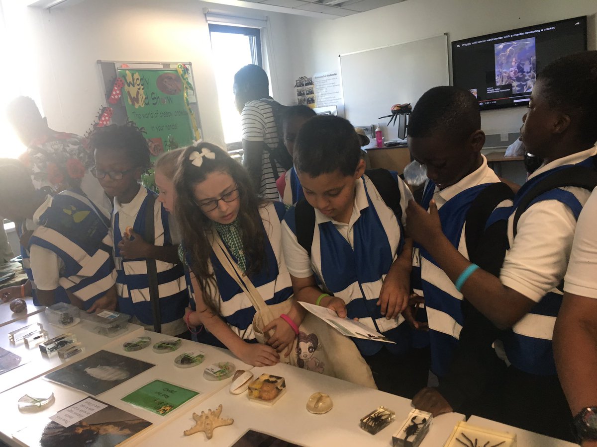 Getting up close with nature with <a href="/WigglyWildShow/">Cairis</a> #bigbangfair <a href="/WoodhillSchool/">Woodhill School</a>