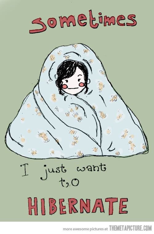 OrkneyTeaForME's tweet photo. It's one of those days... #MEAwarenessHour #pwme #hibernation #pauselife #myalgicE #zzz https://t.co/xdvpSs40sn