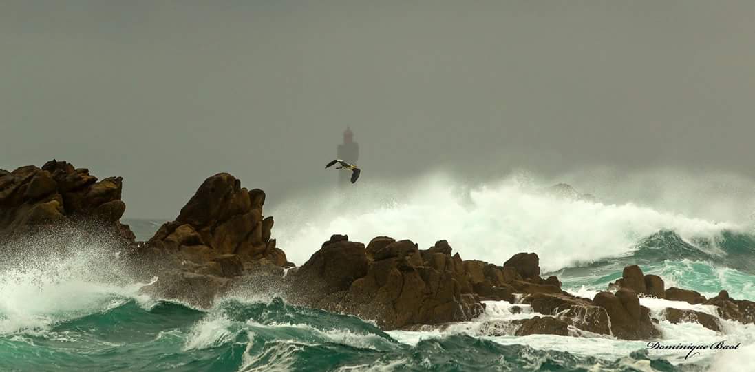 arielSTRABONI's tweet photo. Sublime ! #Phare de la #Jument #Ouessant photo Dominique Baot Photographie Facebook #Bretagne cc @zoeclips @SylvainePascual @Sylvieleroy35 https://t.co/8ruQGGB2RL