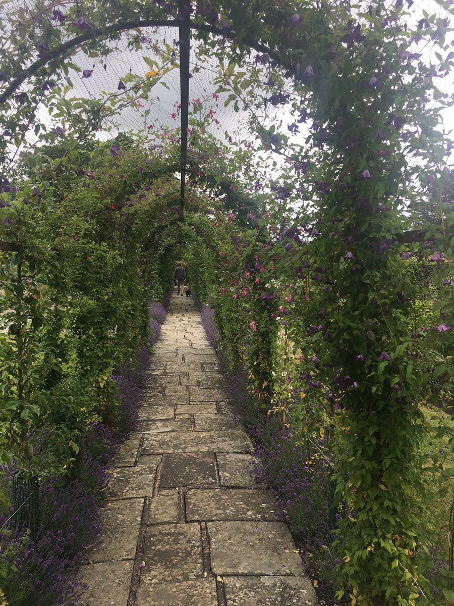 Beauty can be found anywhere ⭐️