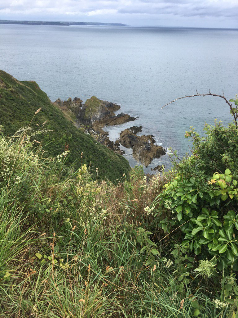 Catherine: Life Coach & Psychic (@catherine_coach) on Twitter photo 