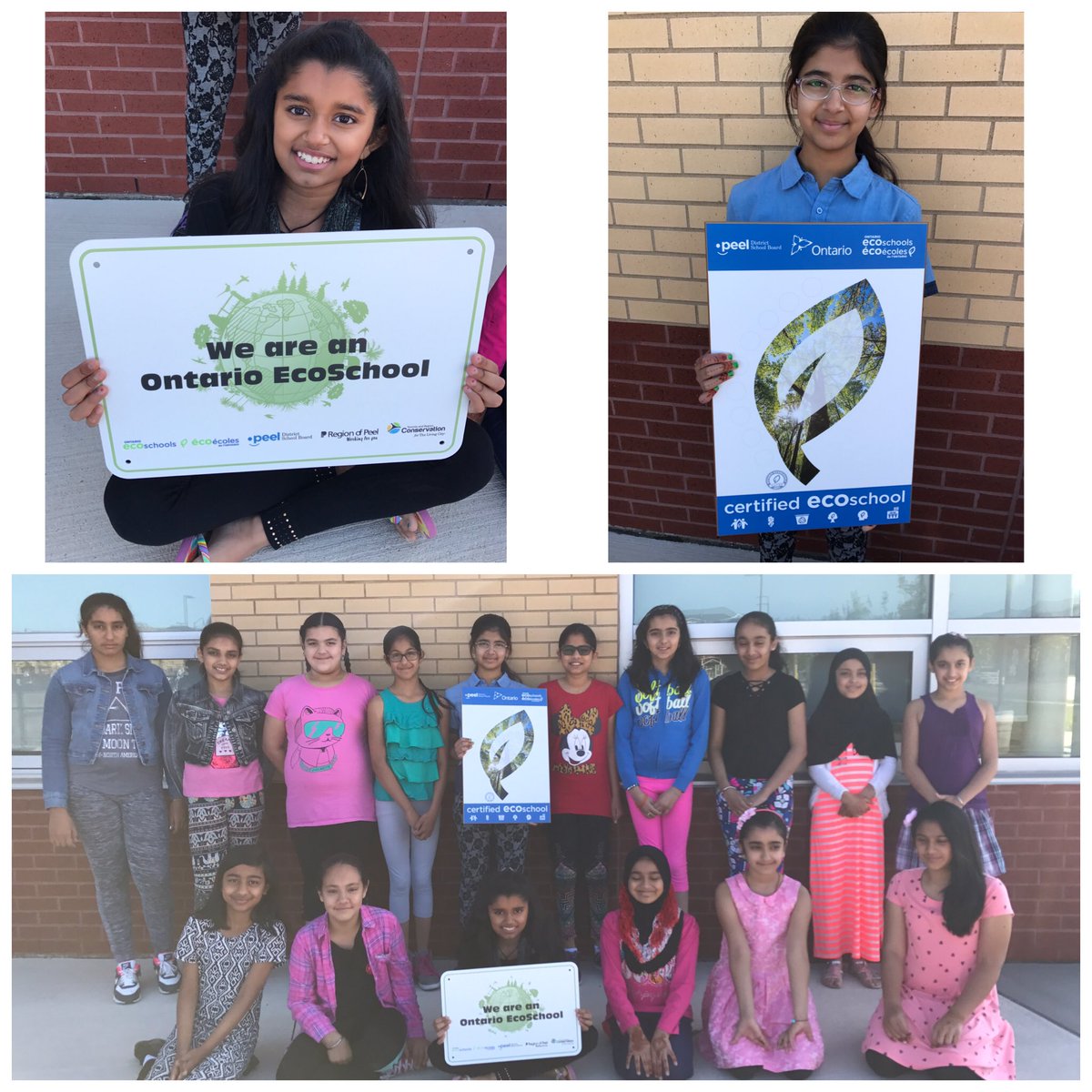 SpringbrookPS's tweet photo. We received our @ON_EcoSchools plaques! Way 2 go @SpringbrookEco . Silver! 🌳🌿😁 @PDSB_eco @Adrian_T_Graham @PeelSchools https://t.co/ewzzmFytYV
