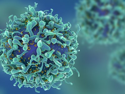 manchempharma's tweet image. Development of oral influenza vaccine @IngenuityLab @NatureNews | bit.ly/2smzV0n