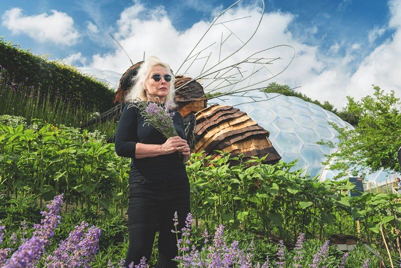 protein's tweet photo. Debbie Harry and @BlondieOfficial are fighting to save the bees with this new campaign: https://t.co/nW2cvocqMj https://t.co/laKLSgyyL4