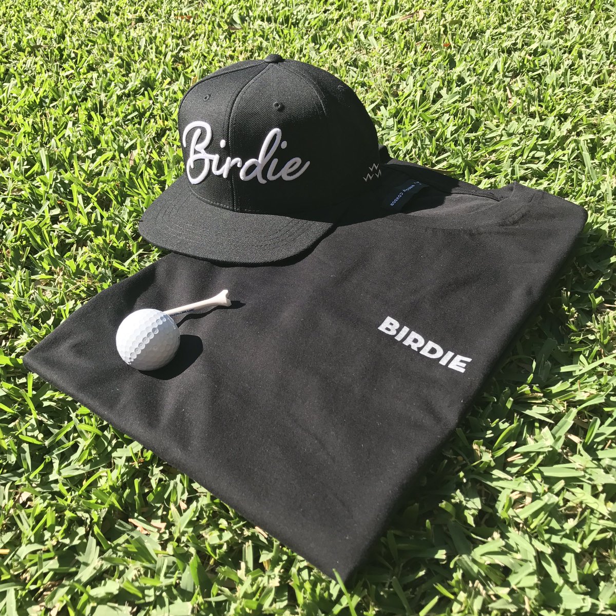 Birds of Condor tweet media