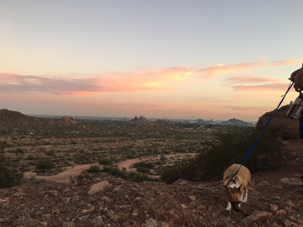 vscnconcierge's tweet photo. #EarlyBirdGetsTheWorm!! 🐛🦅Hate the heat but love hiking?
Wake up early, watch the sunrise and enjoy the Arizona outdoors! #Hiking #WithaDog https://t.co/Crcacp4exG