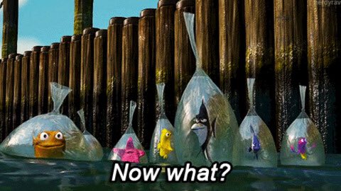 kateemilyp97's tweet image. When PLL is actually over forever after 7 years  #PllFinal