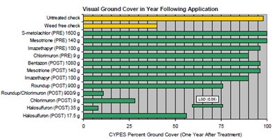 rjanssen19's tweet photo. Corn on corn.  Permit WG last Year.  No Permit on the left of picture 1 and in the middle of picture 2 (check strip).  Excellent on nutsedge https://t.co/JkhiAvyTFW
