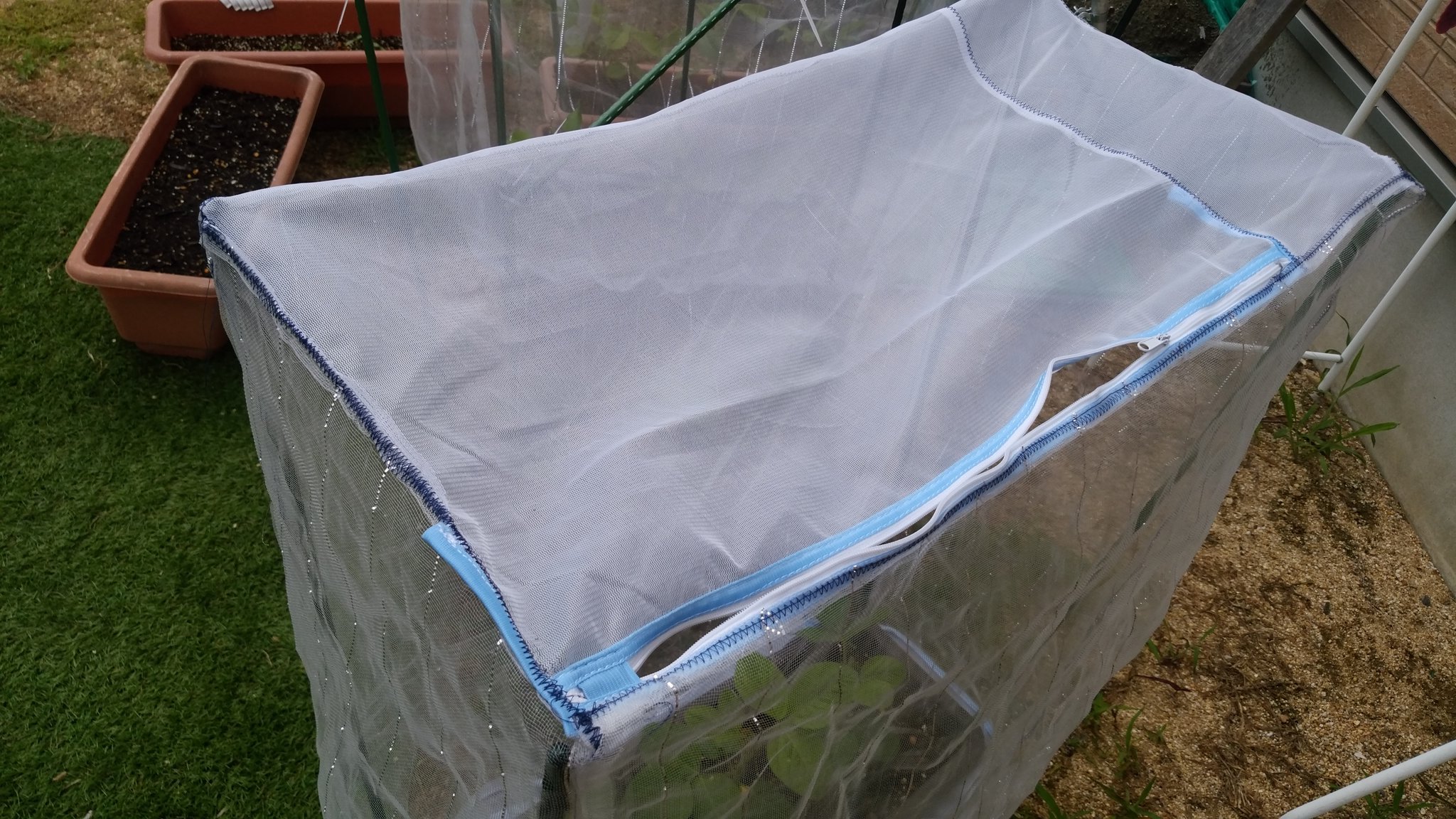 章之 農薬は使いたくないので ネットで虫除け 裾にゴム入れたり 上にファスナー付けると 手入れや世話が楽でいい プランターに穴を開けたくないので 結束バンドと筋交いで固定してみたら中々良い プランター 栽培 防虫ネット 支柱固定 枝豆