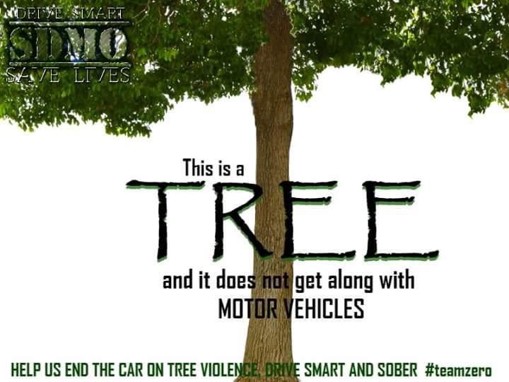 End the vehicular assaults on trees. Drive Sober, Drive Distraction Free. #teamzero