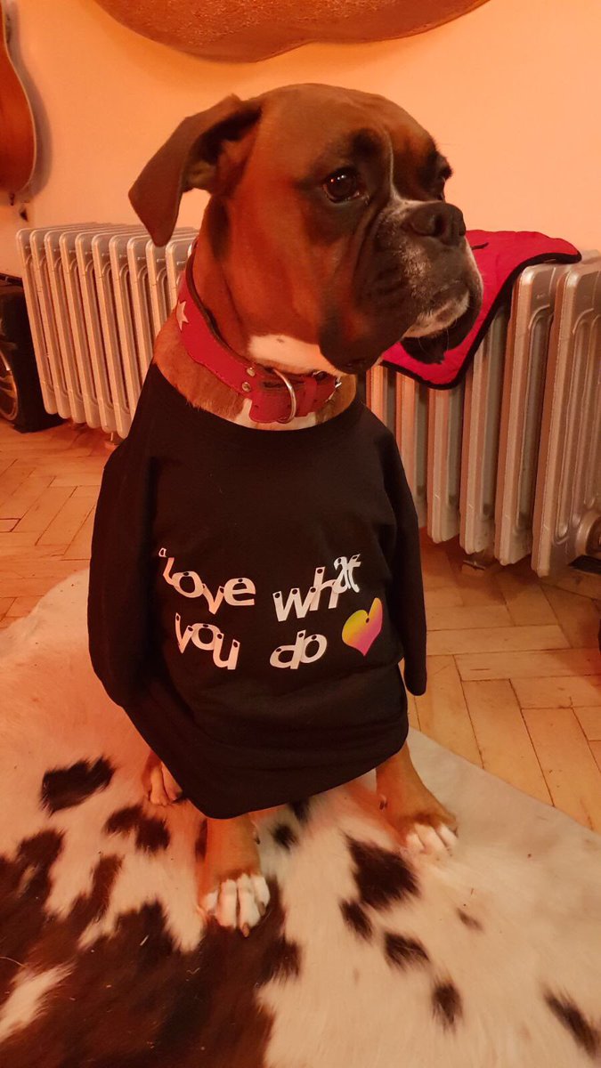 MrChrisSheen's tweet image. Another happy recipient of an @SaleCycle t-shirt 🐶 #lovewhatyoudo
