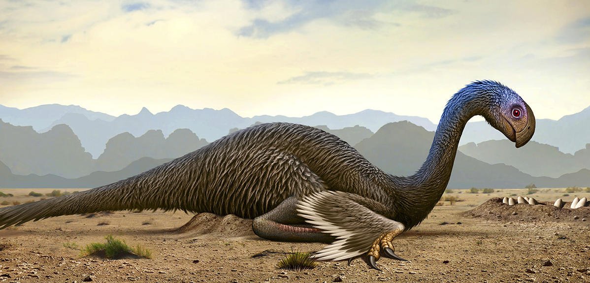 LaTacfi's tweet photo. [Une] @Axel_VF Un exemple de dinosaure en train de couver ses œufs : le gigantoraptor du genre oviraptorosaure @CNRS https://t.co/OuGU441drs