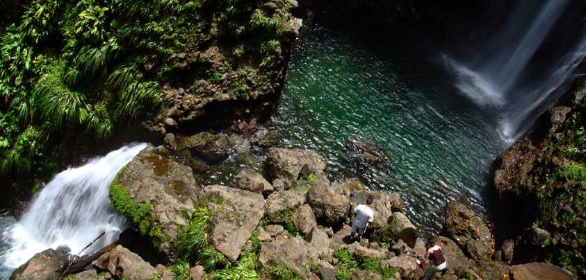 There are three main rainforest tracks to the awesome Middleham Falls, all beautiful and natural.facebook.com/HikeIntoDomini… #Dominica #travel