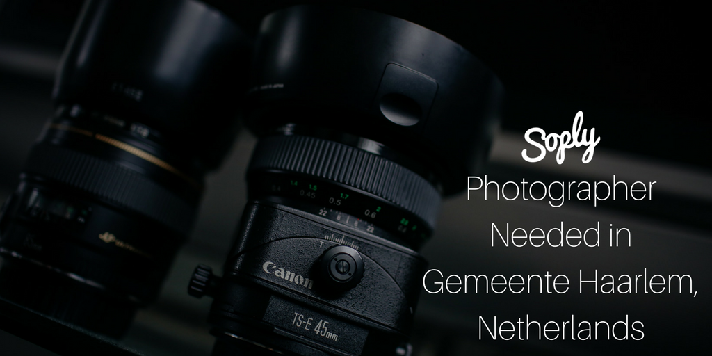 #Photographer needed for #portraits in Gemeente Haarlem #Netherlands. See more info and submit your #quote here: soply.co/2sZZgPA
