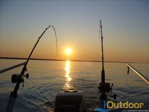 BrianBootBomb's tweet image. Fishing season for snook back on in Gulf ioutdoor.com/fishing-season…