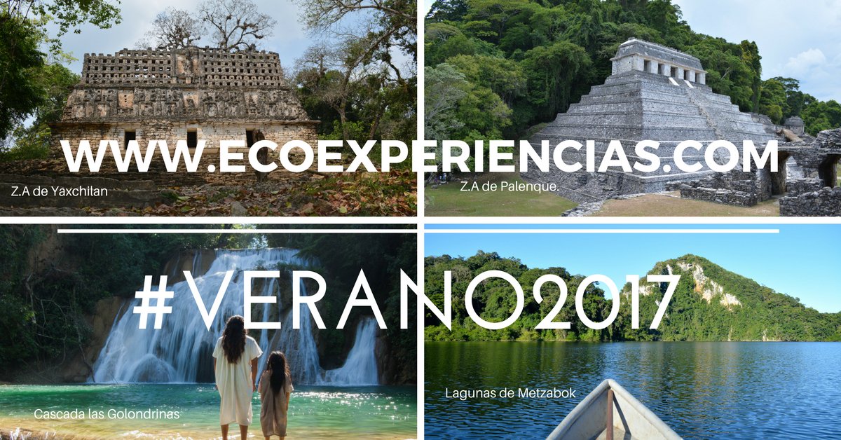 ECOEXPERIENCIAS. CHS tweet media