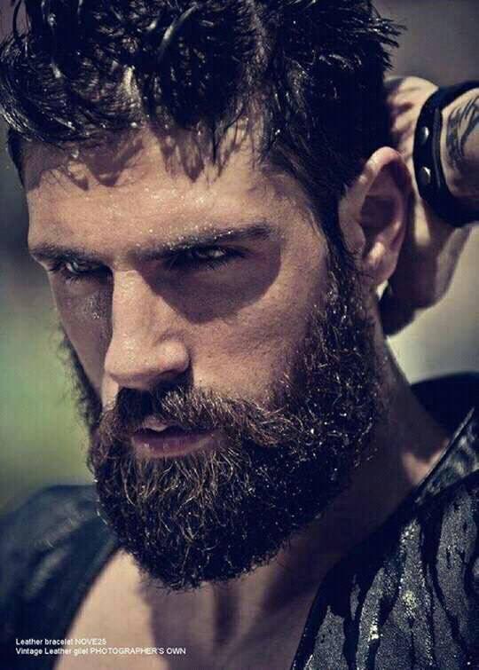 fabienfab's tweet photo. #beardfan https://t.co/V9GCUTMkhl