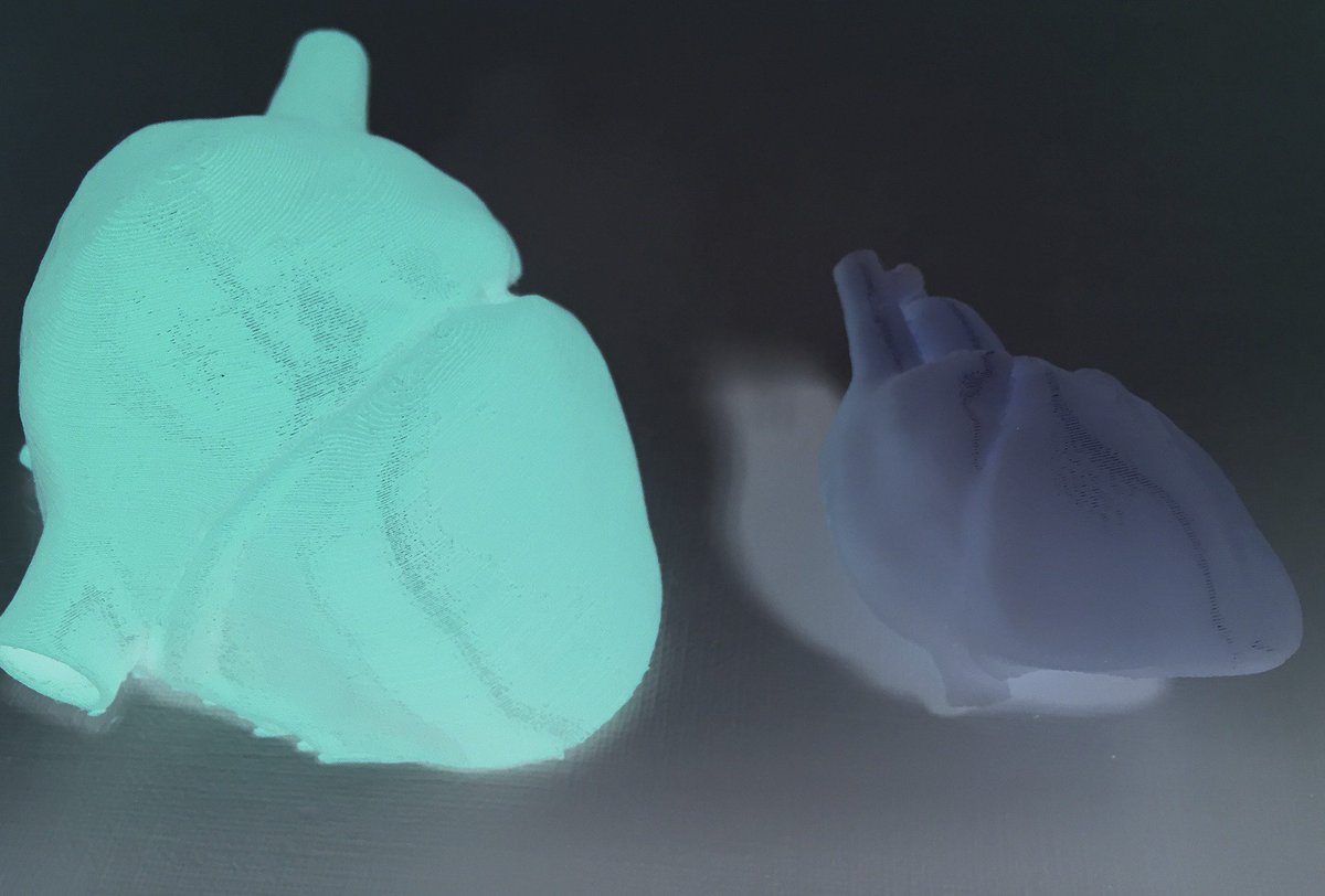 Internal structure study images for UHN <a href="/StratasysEDU/">Stratasys EDU</a>