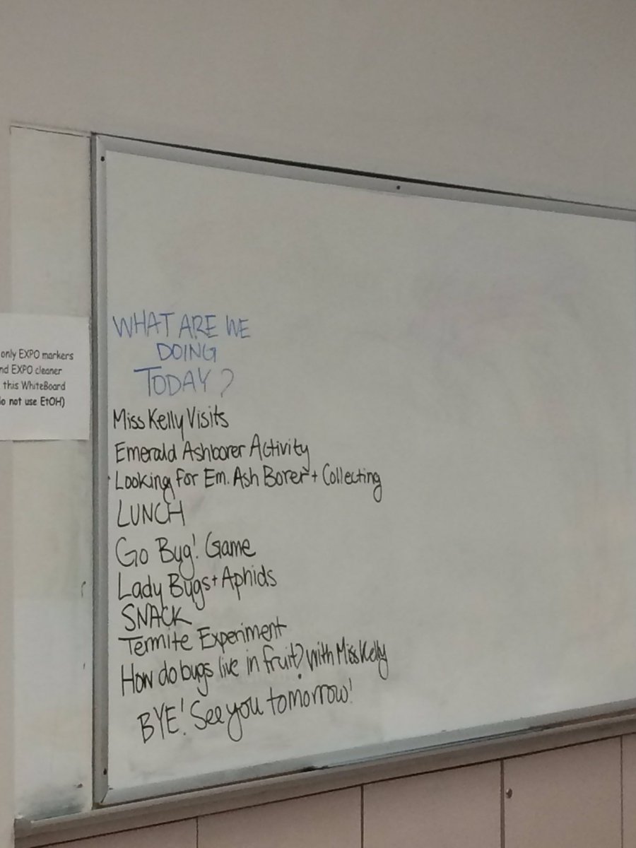 UMDBugCamp's tweet photo. Day 3's agenda! #BugCamp https://t.co/LvCuBud0e6