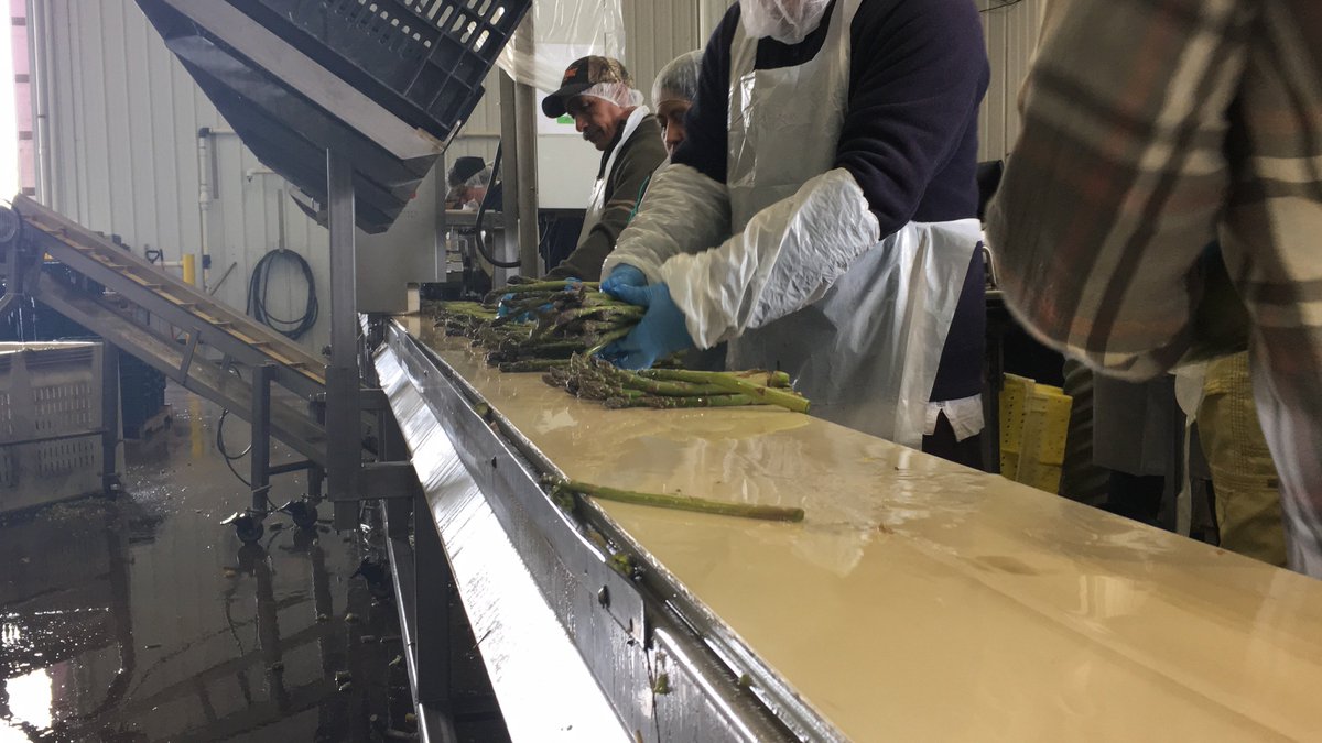 miasparagus's tweet image. This is where all the magic happened this season! ✨