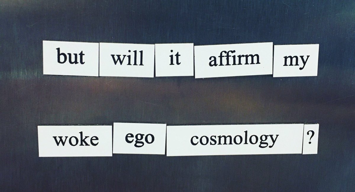 Visionary Magnets tweet media