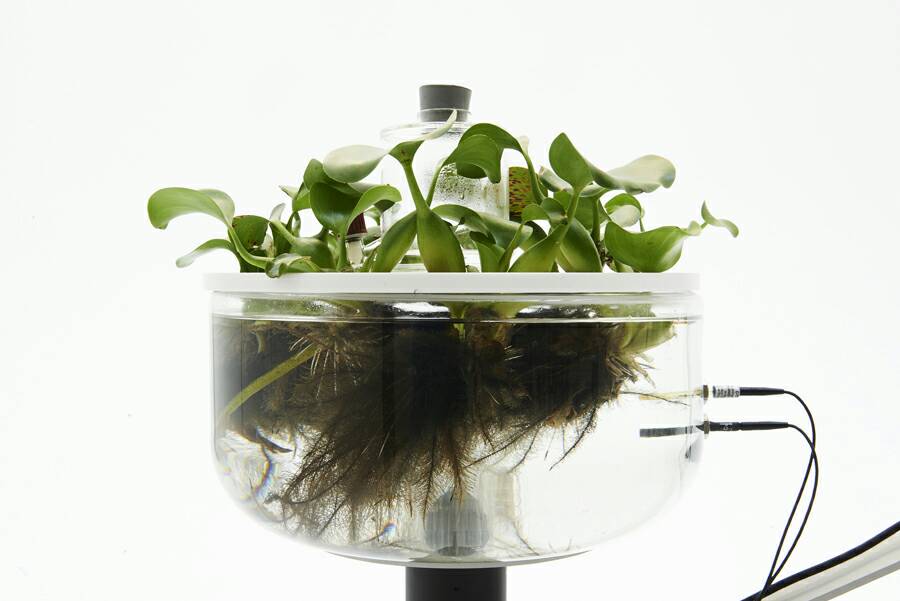 GreenMuseums's tweet photo. Could Humans &amp; Plants Co-Create the Post-Industrial Cities of the Future? #Geomerce https://t.co/j9iC8Q5mxH @MetropolisMag https://t.co/PjThf4PsEy