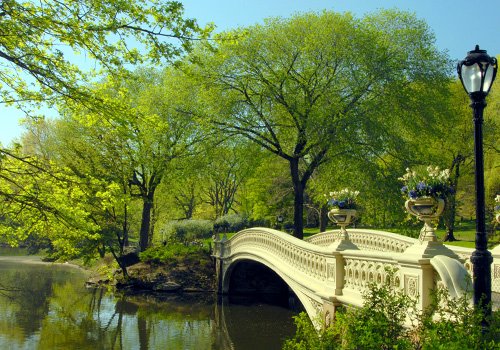 CentralParkNYC's tweet photo. Discover the Park's most artfully executed landscapes on our Art of the Park Tour: https://t.co/ASoFKfaVtT https://t.co/XFmGaJy8pd