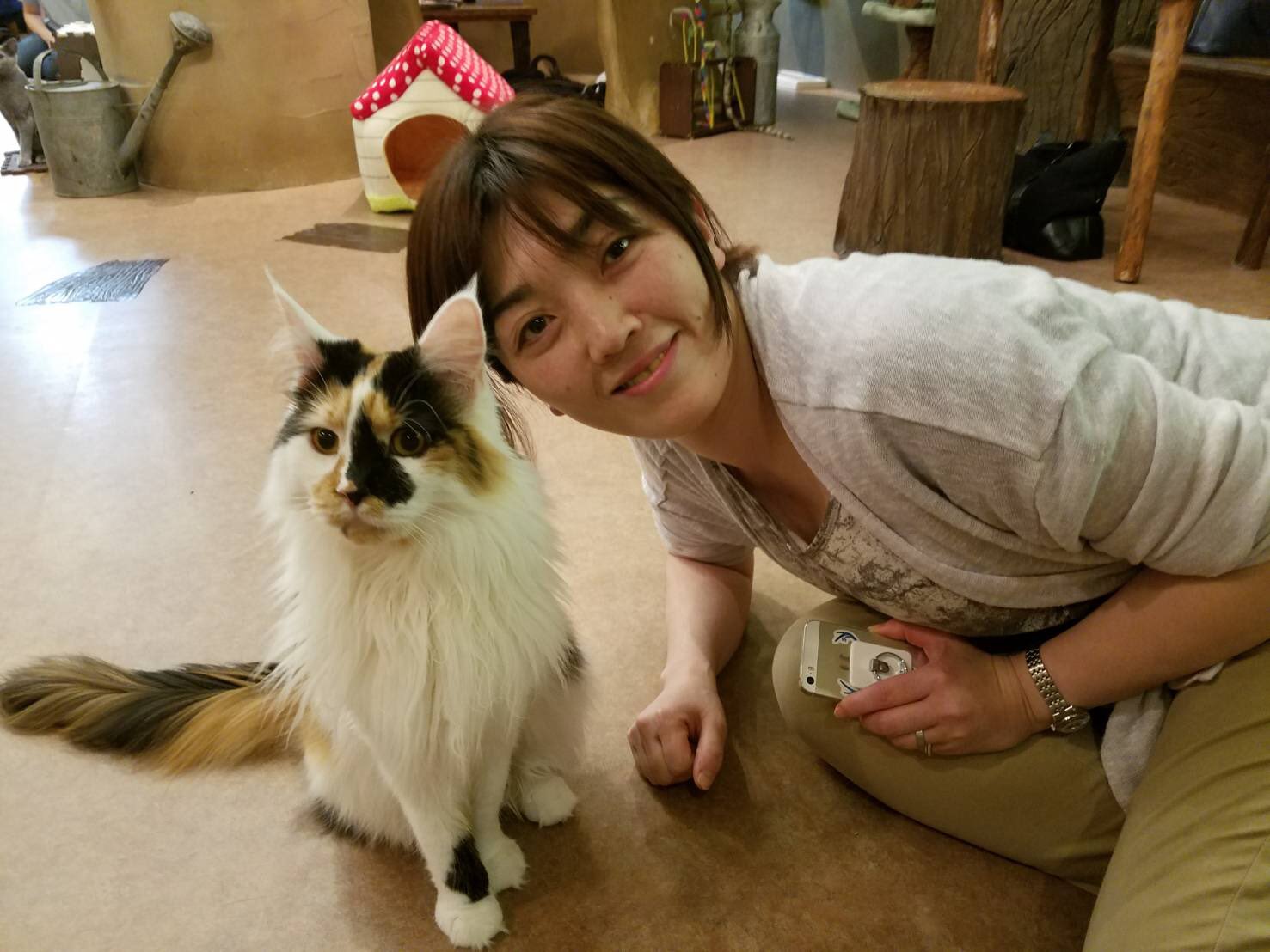 تويتر 吉本ばなな على تويتر ３０日 下北沢ティッチャイのちえちゃんのこえ占い 空きがあるらしいですよー ば T Co Fasigpmlhj
