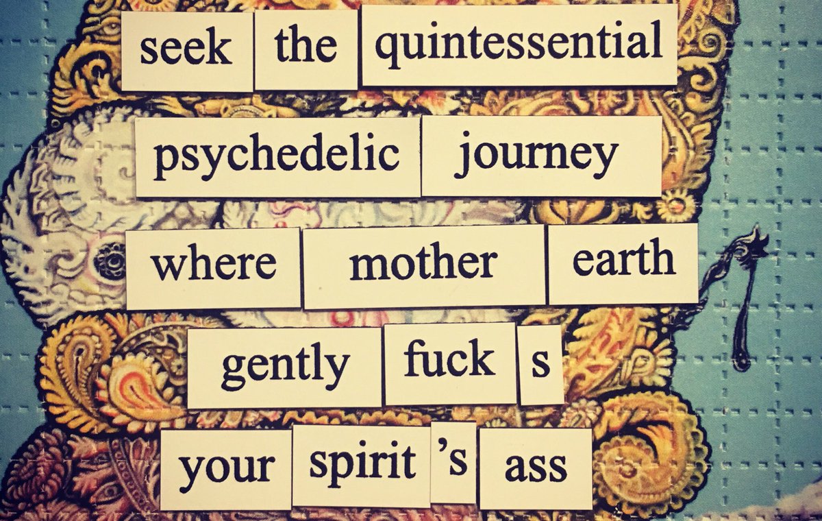 Visionary Magnets tweet media