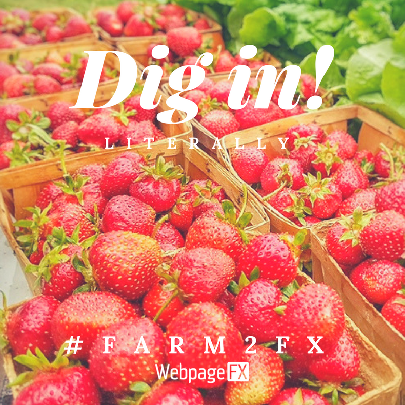 HappinessFX's tweet photo. It's Wednesday & that can only mean 1 thing...today is #Farm2FX delivery day! Time to 'dig in' to this week's harvest from Brew Barn Farms! https://t.co/HPT9eG5jdz
