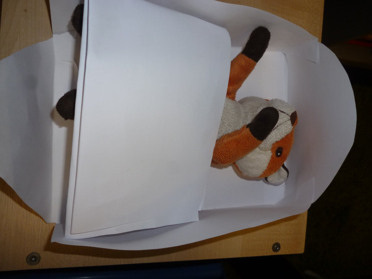 BalladenSpare's tweet photo. Look who I found tucked up in bed in the library at the end of the day! #libraryfox @BalladenSchool https://t.co/fHx457ONrA