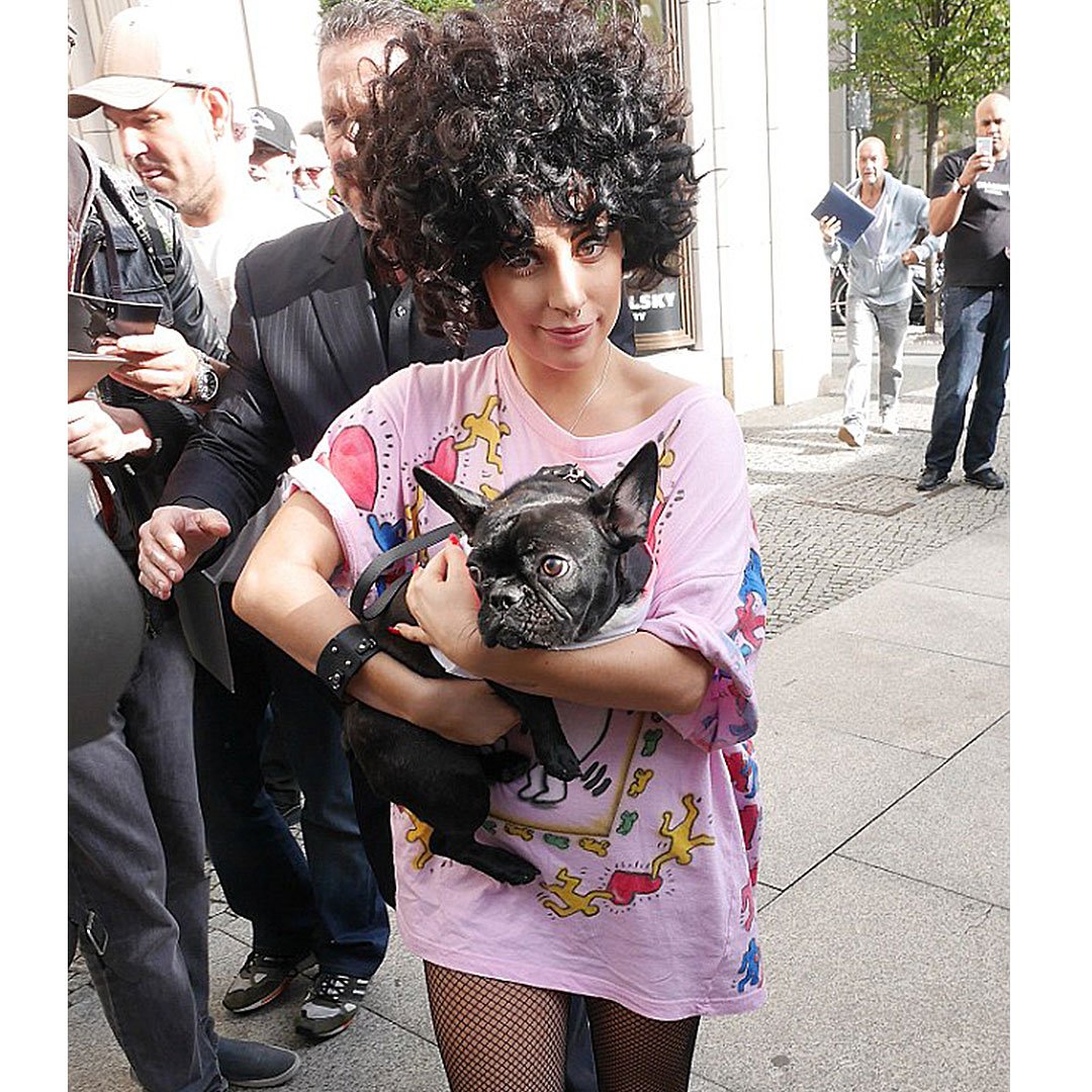 Moshiqaland's tweet photo. Lady Gaga and @missasiakinney with Moshiqa Bracelet with Leash and Collar 🐶🐱 #ladygaga #asia #moshiqa #moshiqalove #moshiqaland https://t.co/y81RVWTZ7z