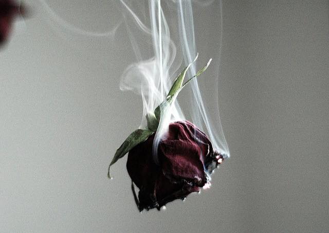 JESSIE J (@jessiejfansuk) on Twitter photo 