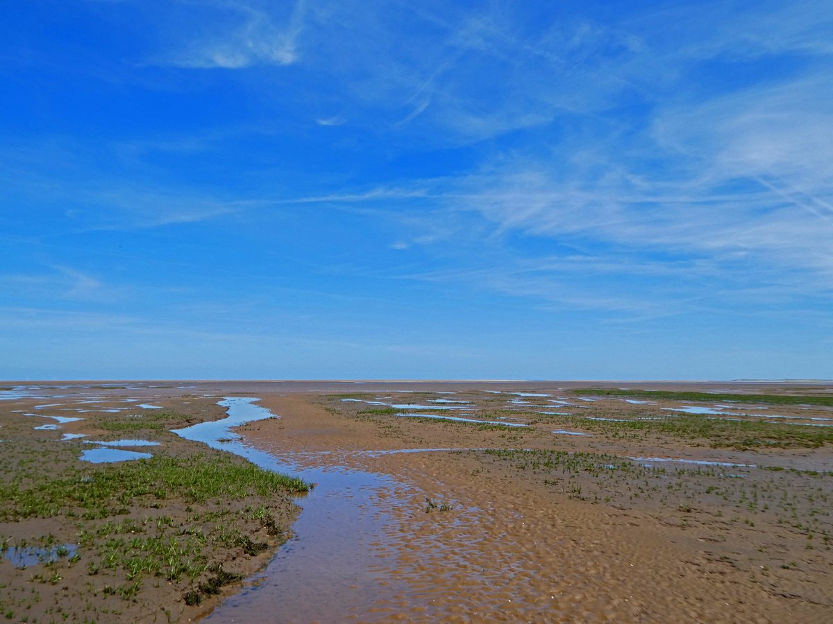 Neville J tweet media