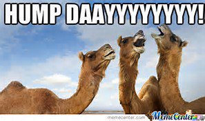 G_u_r_A_MAYzing's tweet photo. @cmrsjack @DjSoul73 #PraisePowerMix on @Praisedc  Monday-Friday 12pm-12:30pm Come and get over #theHump with the #PraisePowerCrew https://t.co/yA3yM8UGoU