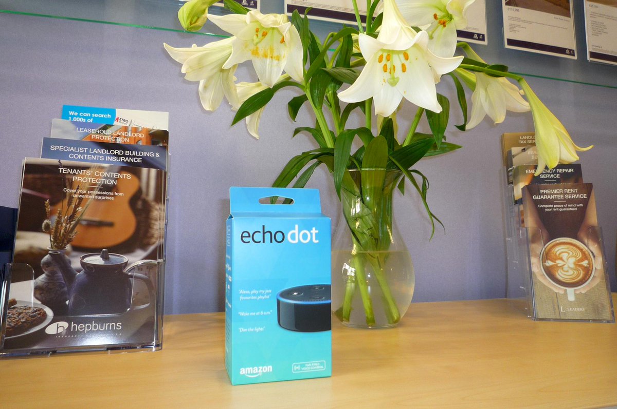 Leaders #Gosport are proud to sponsor Rowner Junior School Summer Fayre
Tichborne Way 30th June 1.30 - 4.30 p.m ECHO DOT up for grabs.