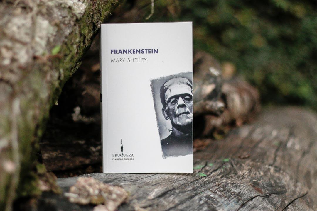 "Frankenstein", de Mary Shelley, nos narra la historia de un monstruo que poco a poco va causando daño. Descubre este clásico literario.