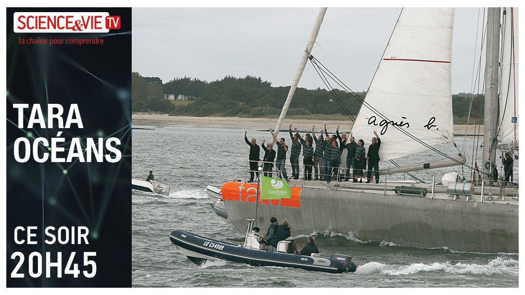 ScienceetvieTV's tweet photo. La mer abrite un monde marin inconnu, ou presque : le monde secret du plancton. Comment est-il organisé ? Que peut-on en apprendre ? ⛵ https://t.co/wuJoq5Tzd4
