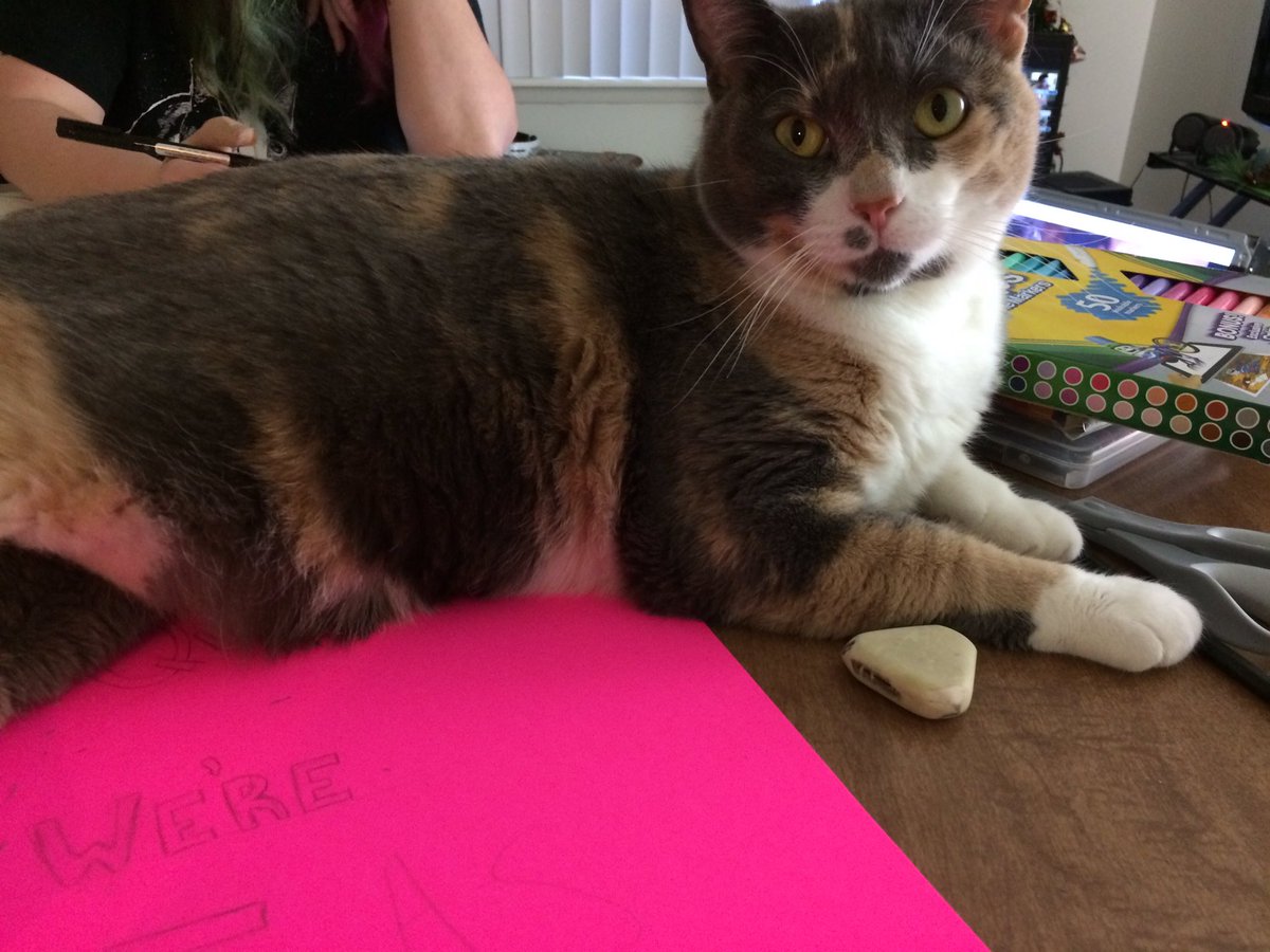 defendPP_'s tweet photo. Chie is suspicious of anyone who hasn't shared https://t.co/EfXx1LAuOj &amp; followed @defendPP_ yet. https://t.co/7E0tac7e3L