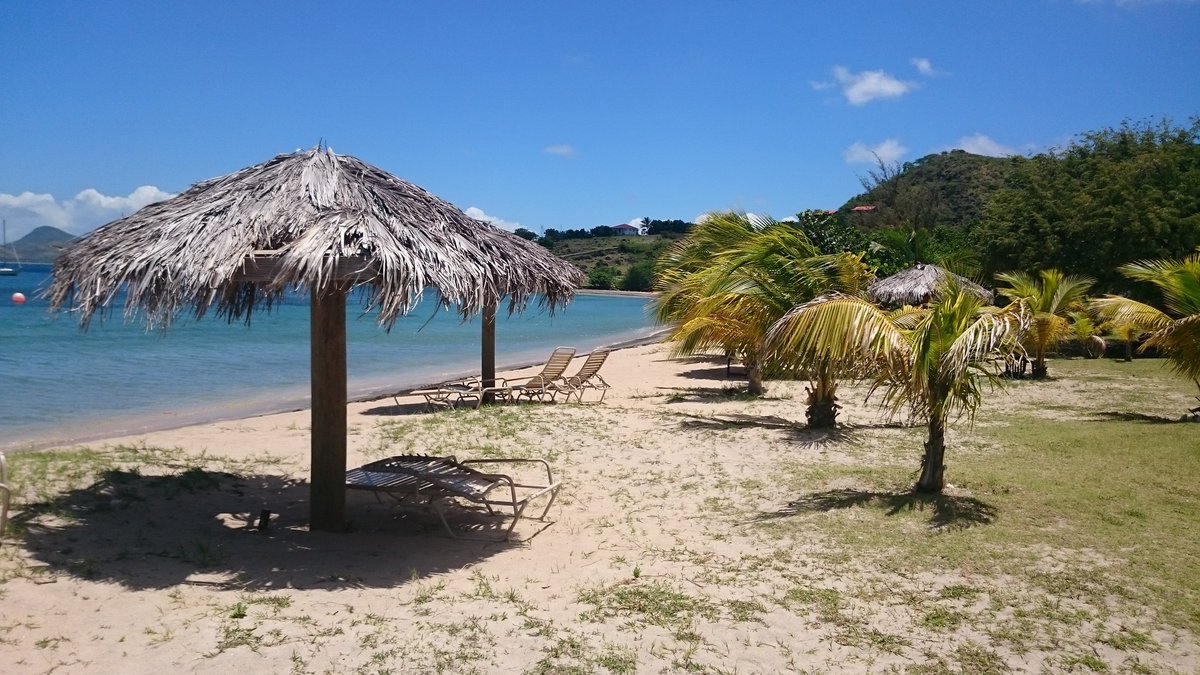 BrianDEU's tweet image. #elearninged - Sorry I can&apos;t be there in person but happy to attend in spirit. (rum would be most appropriate)