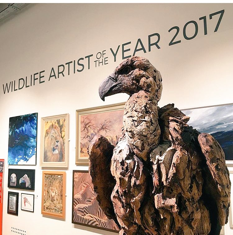 DSWFWildlife's tweet photo. Don't miss #WAY2017 championing and celebrating #endangeredspecies @mallgalleries #London until Sunday 2 July https://t.co/5QvLDpjUv4