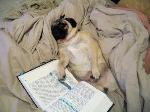 LindoMyeni's tweet photo. When I'm tryna learn all Industrial Psychology theories in one day! #ExamVibe ππ https://t.co/8O9eBJtmh2