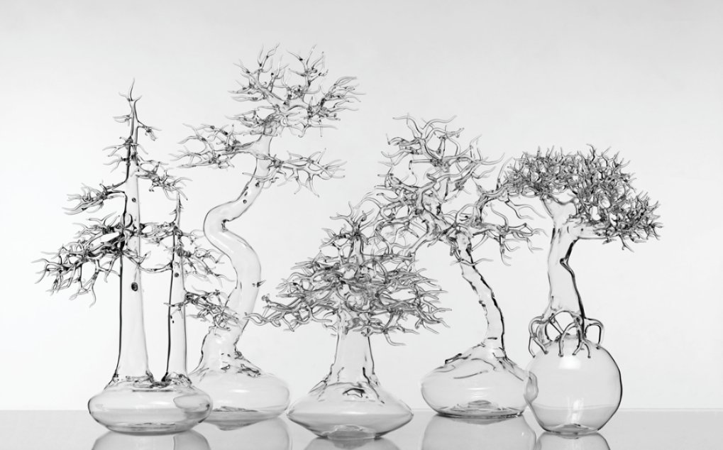 shababaty's tweet photo. Glass Bonsai
#SimoneCrestani https://t.co/tIqQ6KlWkb