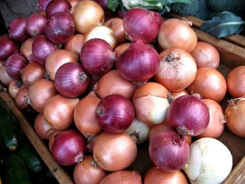 NilaRestaurant's tweet photo. Native to Asia, #onions are endlessly versatile and an essential ingredient in countless Indian recipes. https://t.co/f36PUcbw76