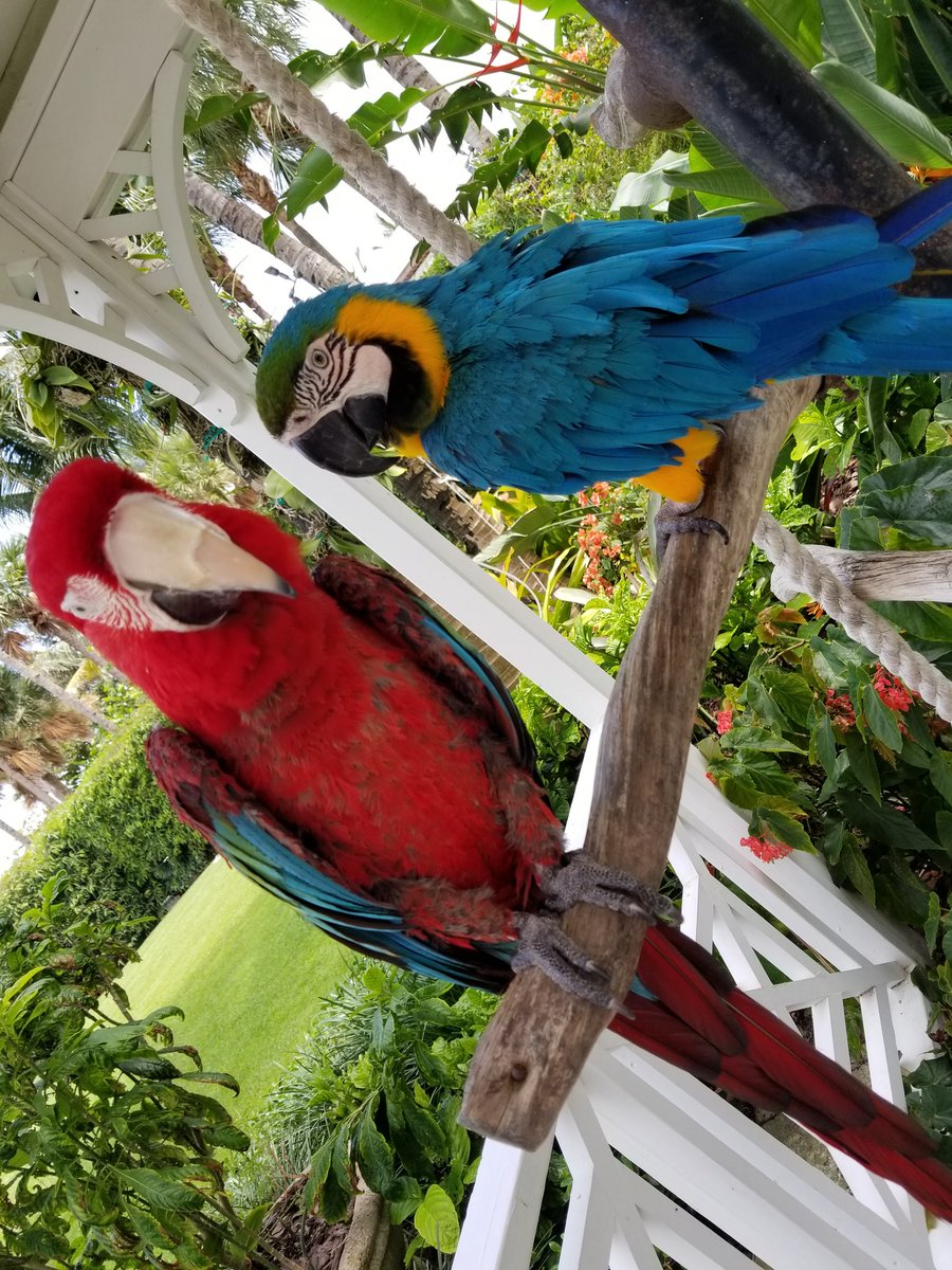 NATY_HER13's tweet photo. @theSamsungSide @TMobile There is nothing like  fun vacations with my #GS8 #SamsungCameraDemo https://t.co/aNAEwBXRzf