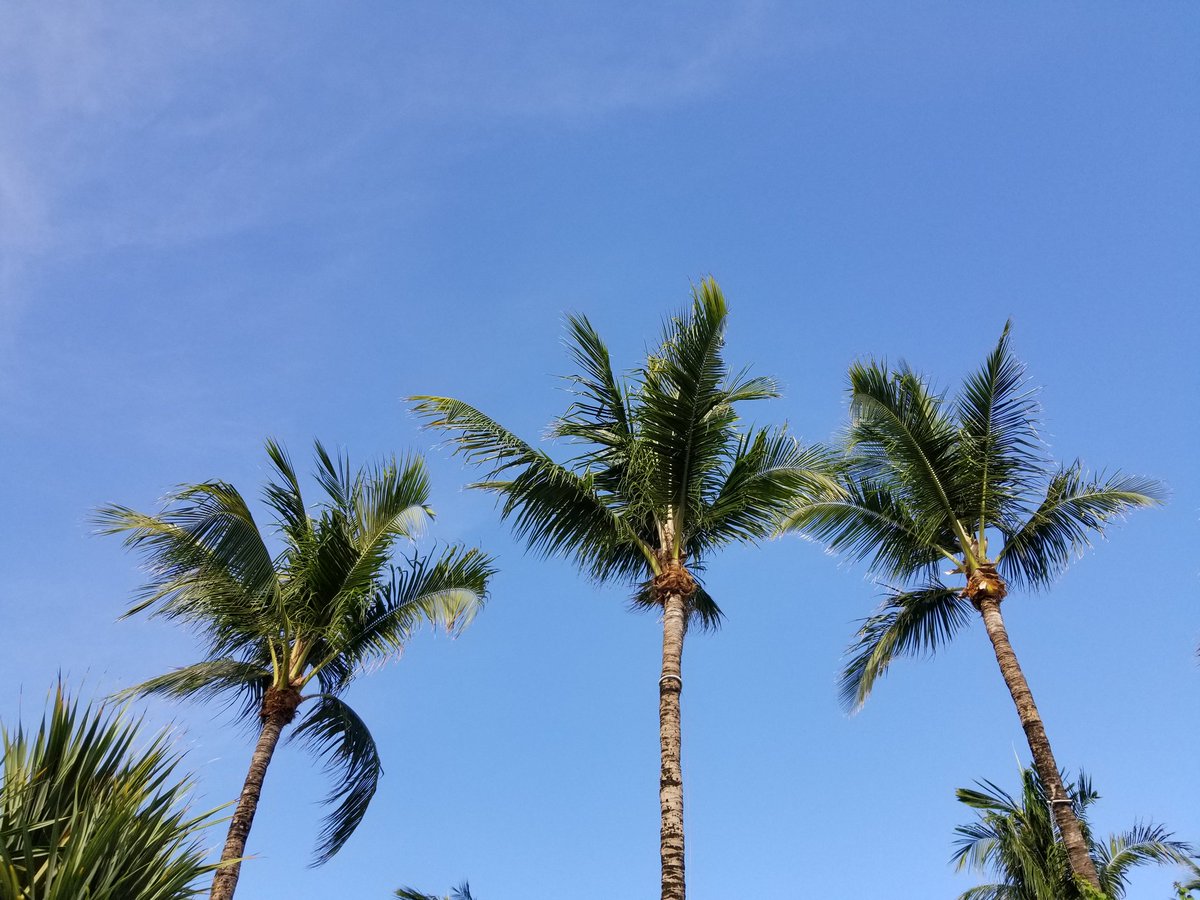 NATY_HER13's tweet photo. @theSamsungSide @TMobile There is nothing like  fun vacations with my #GS8 #SamsungCameraDemo https://t.co/aNAEwBXRzf
